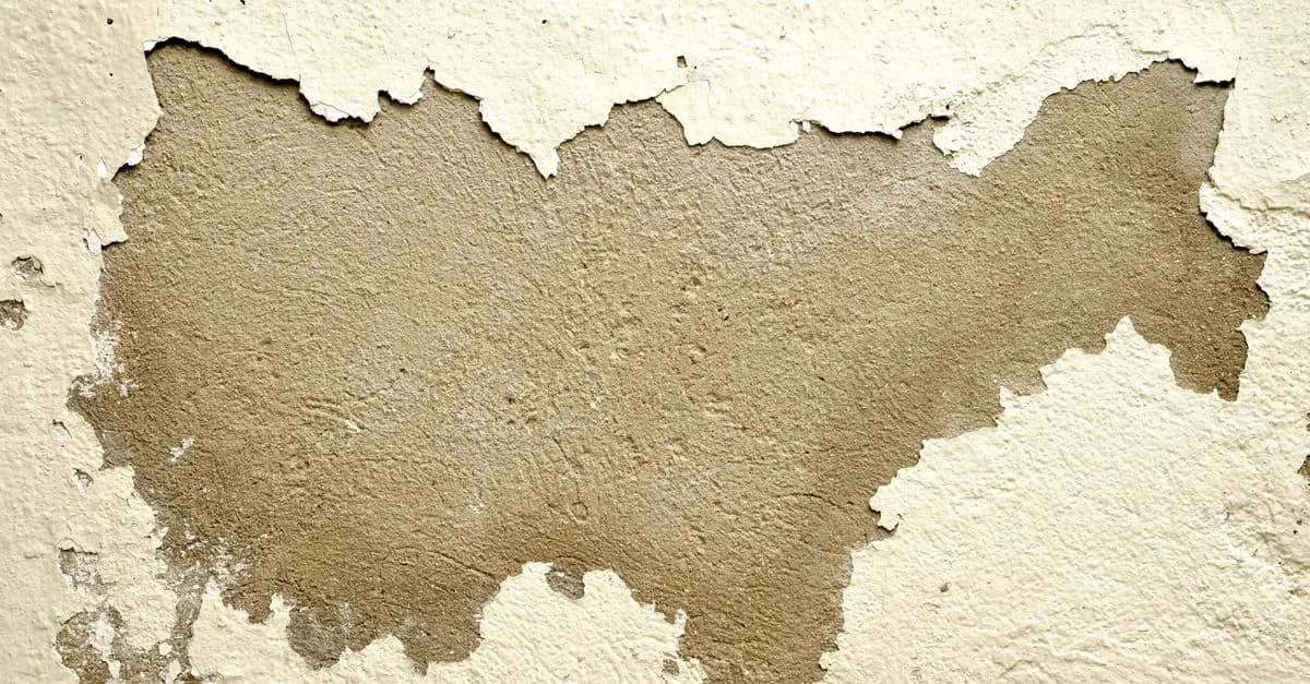 Peinture Rapide : Les Réparations de Fissures Avant de Commencer