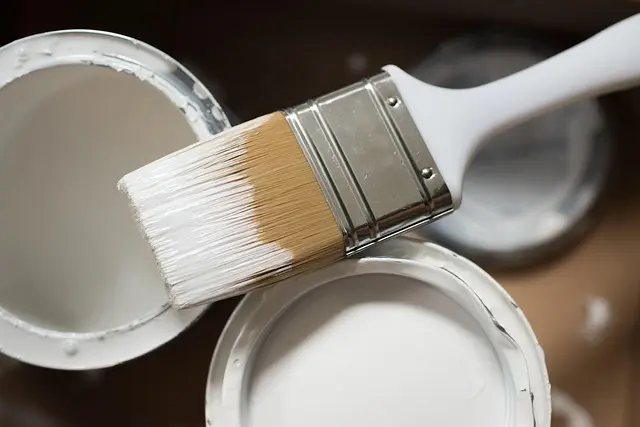 Comment Choisir la Meilleure Peinture Rapide pour Votre Projet
