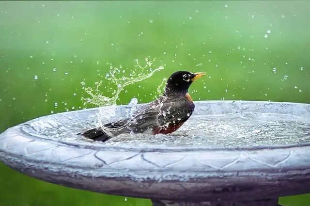 Peindre Rapidement une Salle de Bain : Techniques et Astuces