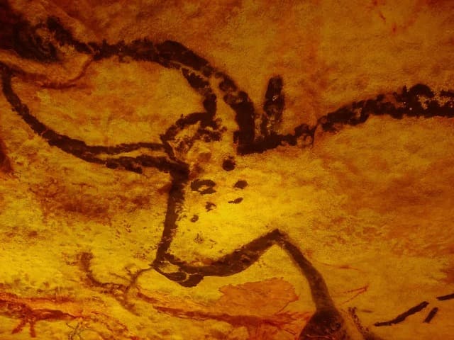 Comment Éviter les Fuites de Peinture lors de Projets Rapides