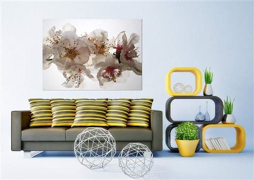 AG Design – Papiers Peints intissé – Tendresse – Tapisserie Photo – Poster Photo géant – 160x110 cm – 1 lés – FTNM 2654