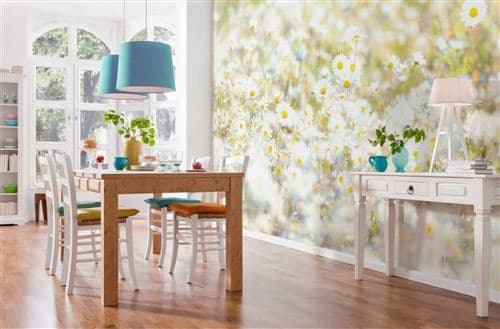 Papier Peint - Daisies 368x254cm - Papier,