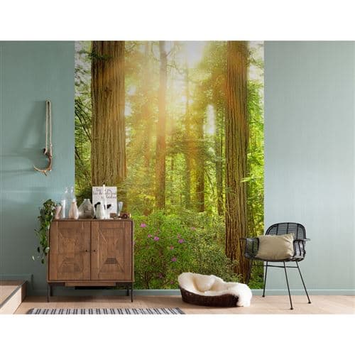 KOMAR Photo murale - 184 x 248 cm - panoramique intissé - Redwood