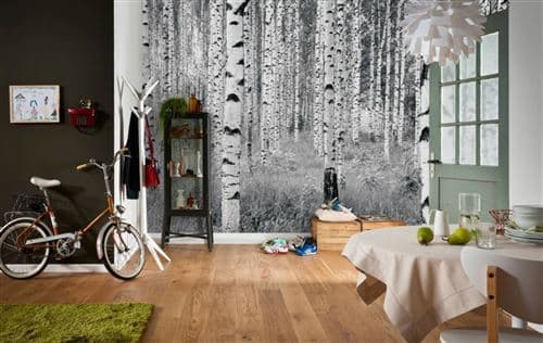 Papier Peint - Woods 368x248cm - Intissé,