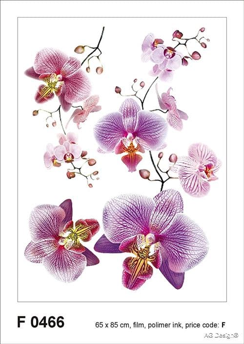 AG f 0466 autkleber Mural Design Autocollants en Forme de Fleurs